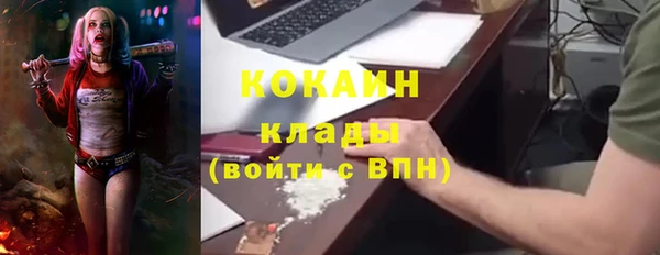 сатива Алзамай