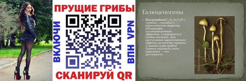 Галлюциногенные грибы MAGIC MUSHROOMS  Купить где  Михайлов 