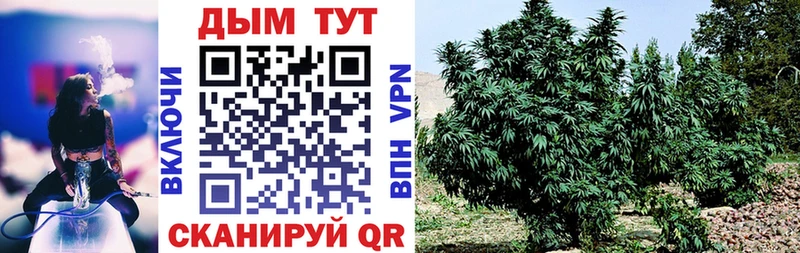 Купить где  Михайлов  МАРИХУАНА White Widow 